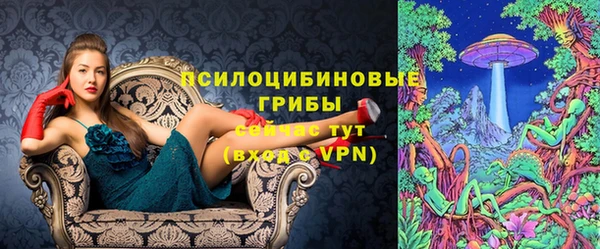 бутират Алексеевка