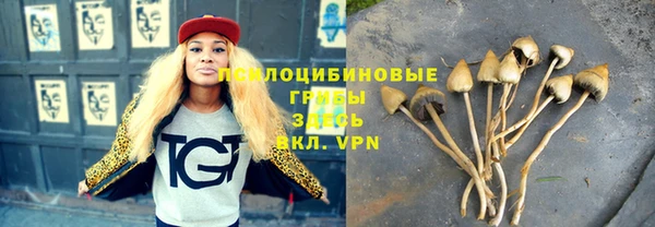 таблы Алексин
