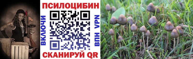 где продают наркотики Ивдель Псилоцибиновые грибы MAGIC MUSHROOMS